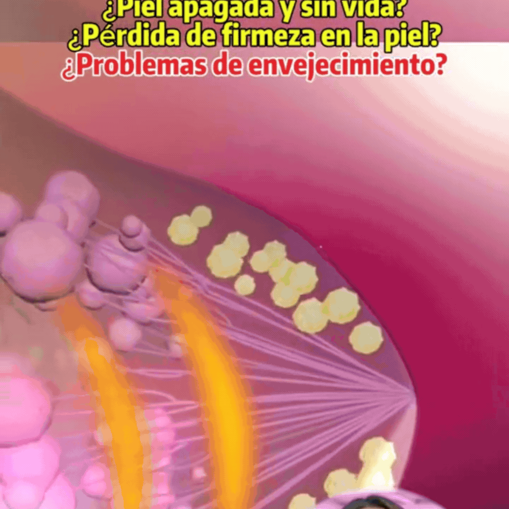 Firmeza y Soporte Natural